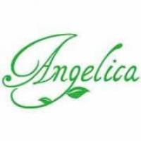 Angelica